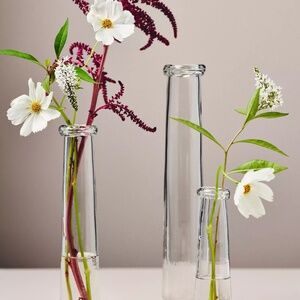 Anthropologie Julia Glass Stem Vase Medium + Small Clear Glass BRAND NEW IN BOX